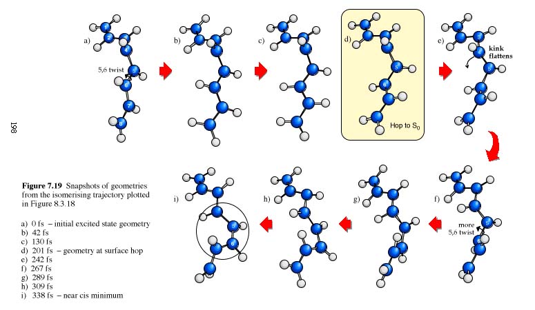 image/octisom.jpg, 56.2K