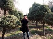 PICT0008