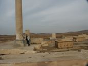 PICT0008