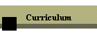 Curriculum