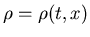 $\rho = \rho(t,x)$