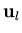 ${\bf u}_l$