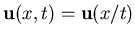 ${\bf u}(x,t) = {\bf u}(x/t)$