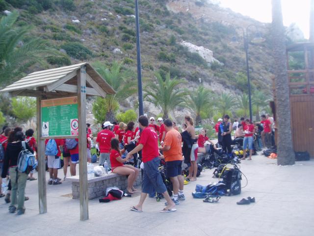 P1010039.JPG.jpg