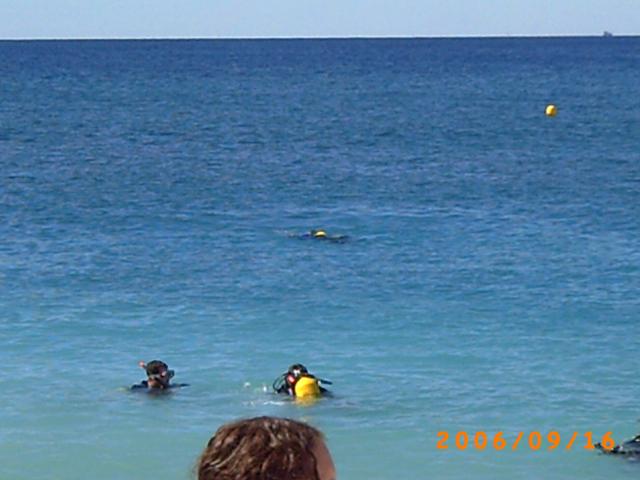 PICT0052.JPG.jpg