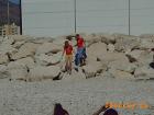 thumbs/PICT0050.JPG.jpg