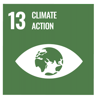 SDG 13 Climate Action