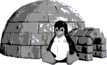 A penguin and the igloo