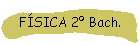 FSICA 2 Bach.