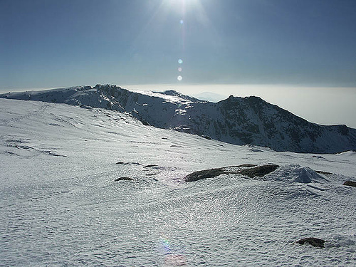 header image 2