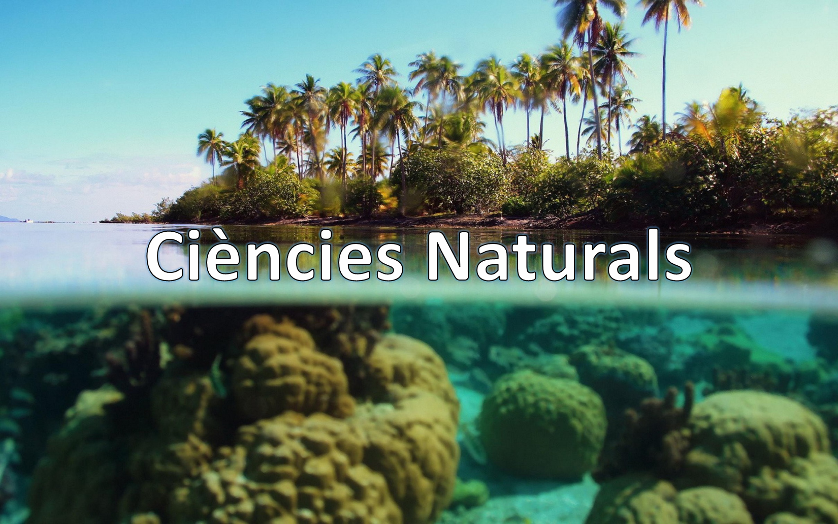 Documentals de ciències naturals
