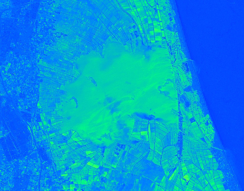 Mapa clorofila Albufera