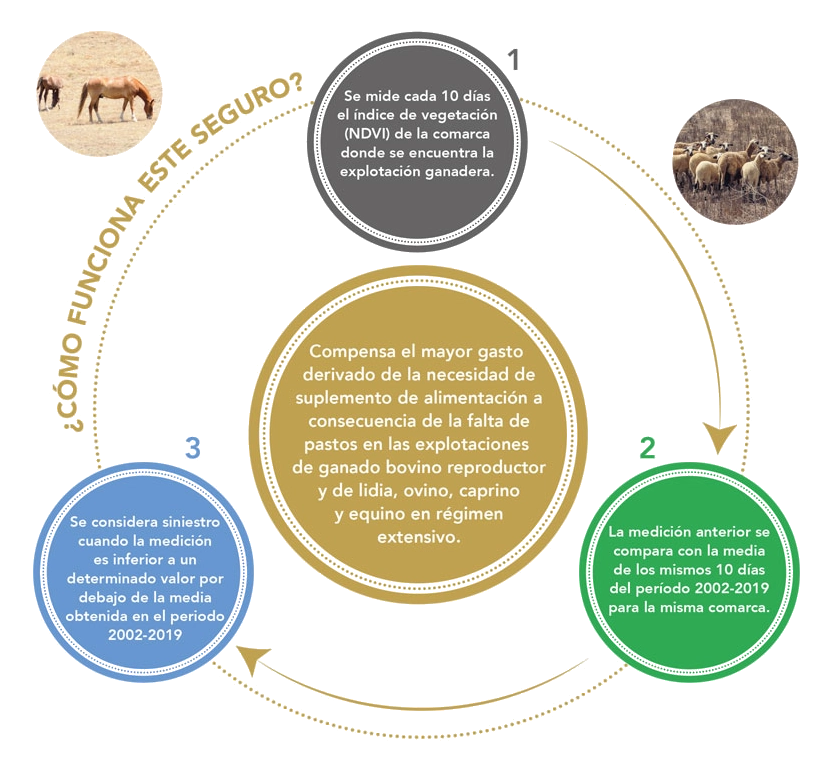 Esquema Agroseguros