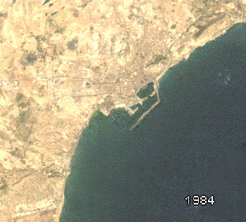 Evolución Puerto Alicante