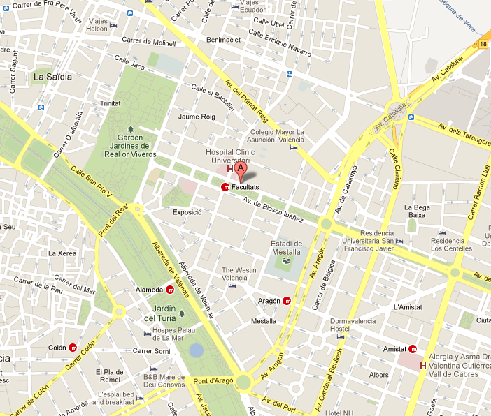 Ver mapa