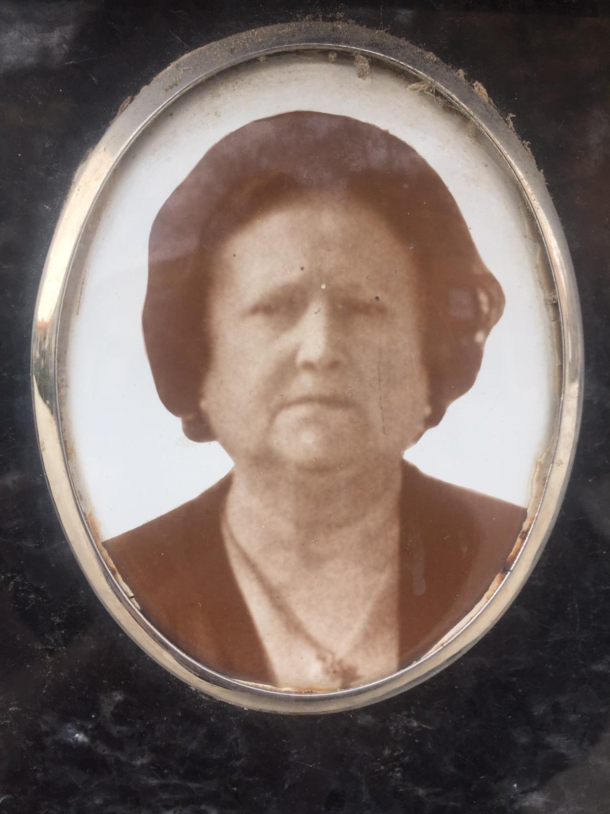 El retrato del nicho