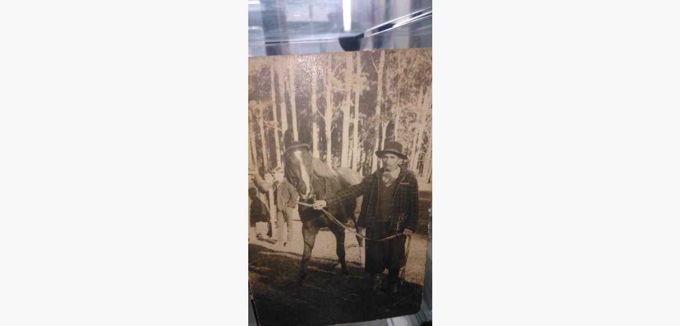 Junto al caballo
