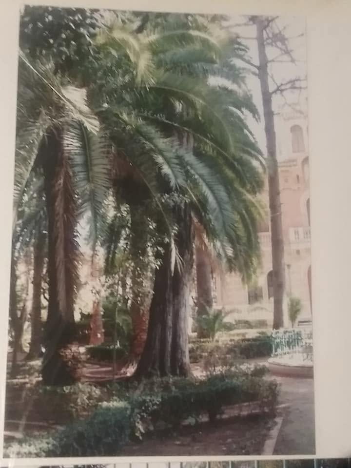 El palomar de obra