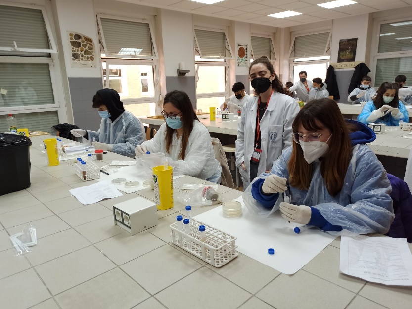 Micromón laboratory session
