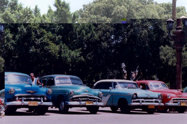Photograph