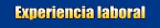 Experiencia laboral