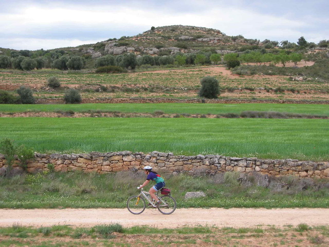 alcaniz2