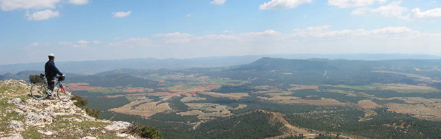 ayora