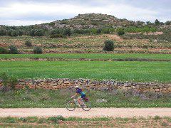alcaniz2
