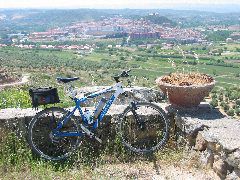 Alcaniz2