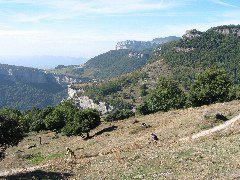 Rupit1