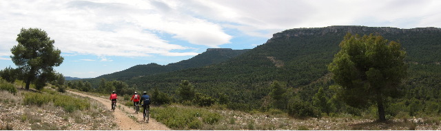 Ayora