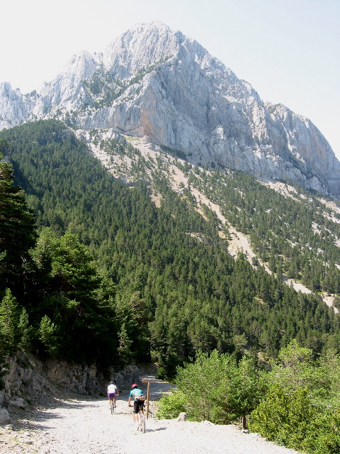 PenaMontanesa1