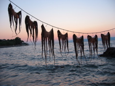 13-Grecia