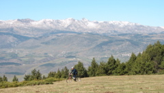 16-Cerdanya