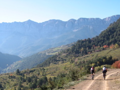 17-Cerdanya