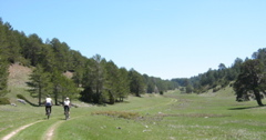 07-Guadalaviar