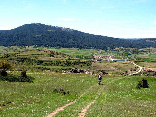 08-Orea
