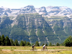 13-Pineta