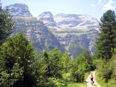 14-Pineta
