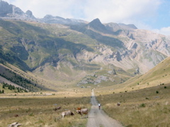 20-Otal