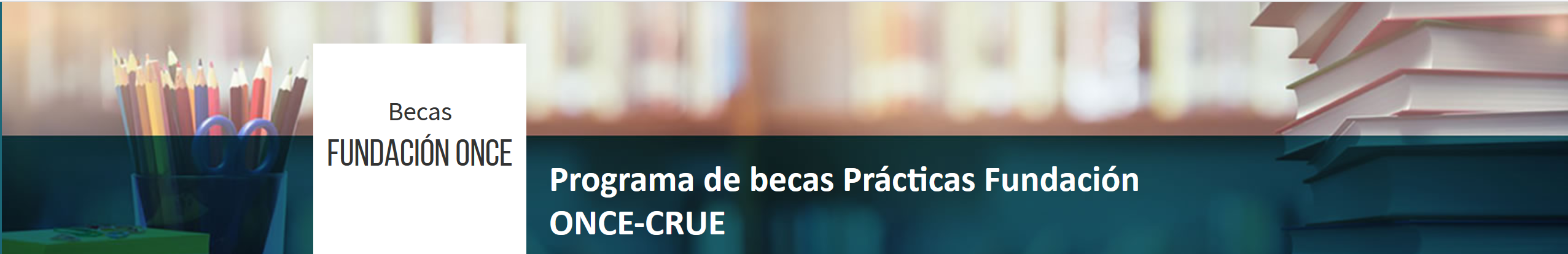 Fundación ONCE