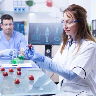 Researchers in the lab