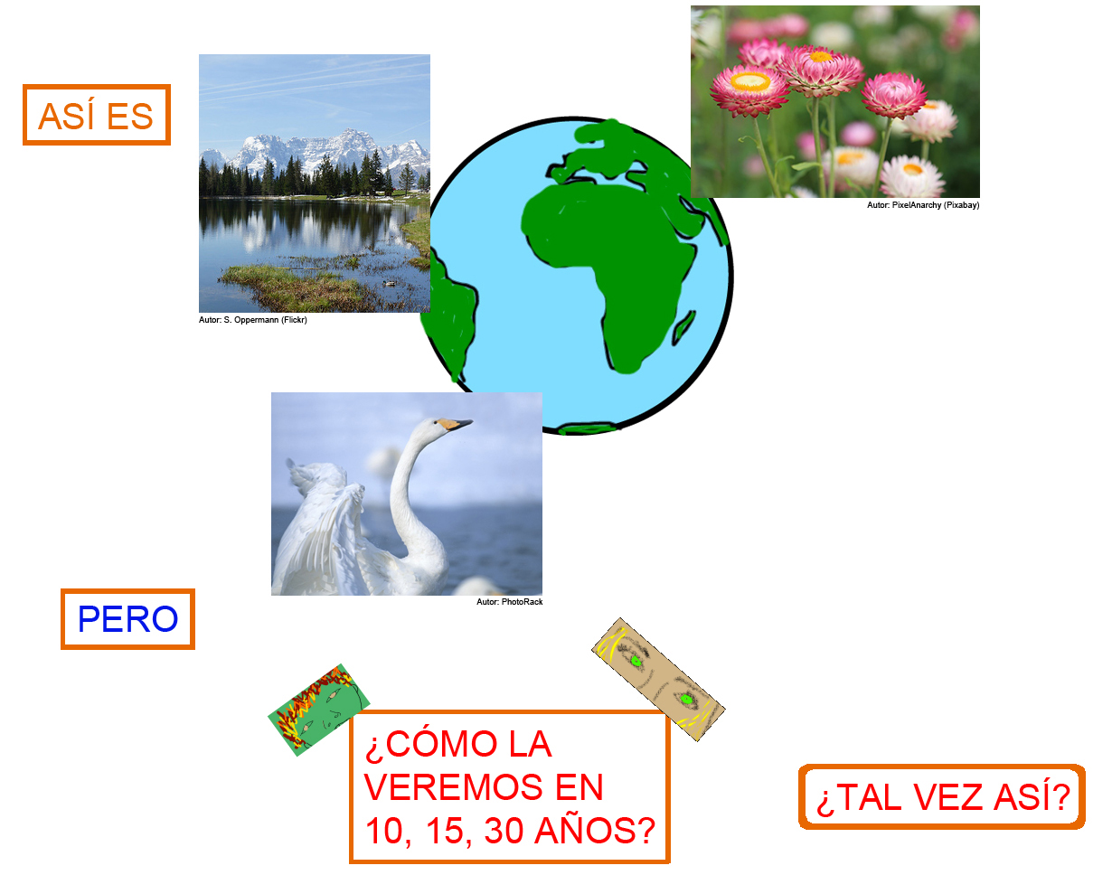 pagina 1