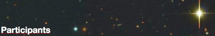 Participants