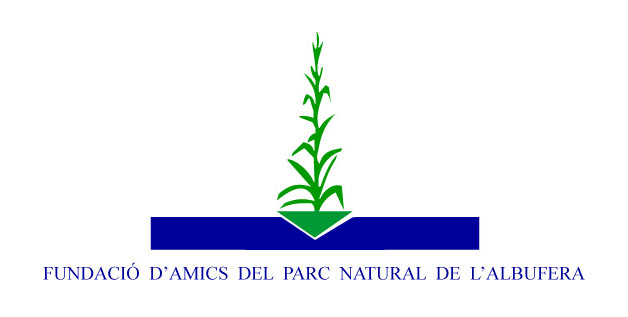 Logo Fundacio