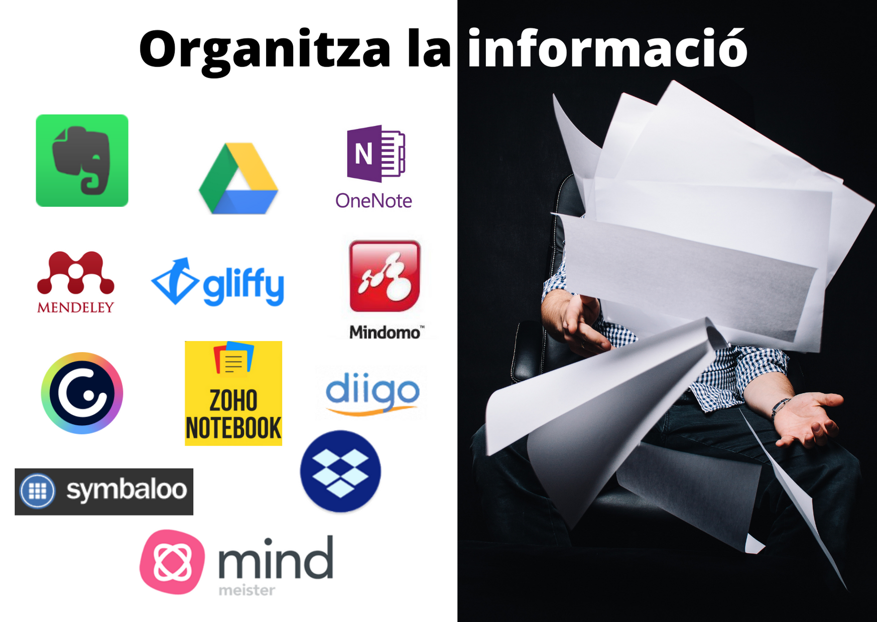 Organitza la informació