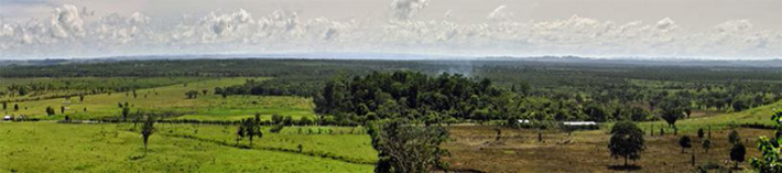 Vista panorámica del entorno de las ruinas de La Blanca (Foto Joaquín Bérchez)
