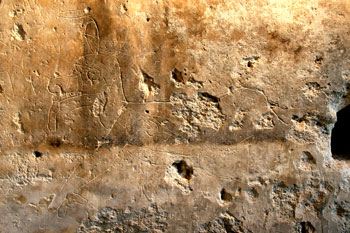 Grafito de La Blanca con representación de un venado. (Foto Álvaro Toepke)