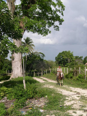 Camino hacia la aldea de La Blanca (Foto Gaspar Muñoz)