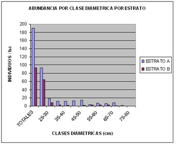 Distribución de la densidad por clase diamétrica. Estratos A y B ( Tomado de La Blanca y su entorno. Cuadernos de arquitectura y arqueología maya 2, 2007: 128)